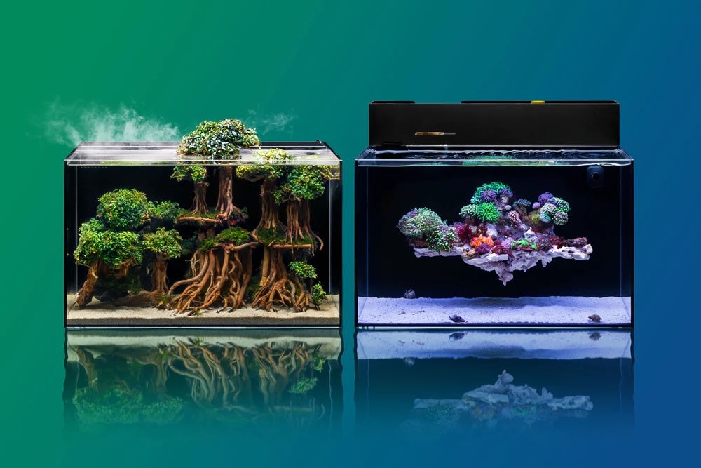 www.neptuneaquatics.com