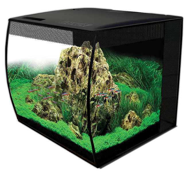 Fluval Flex Tank Glass Aquarium Kit, FW | Neptune Aquatics, Inc.