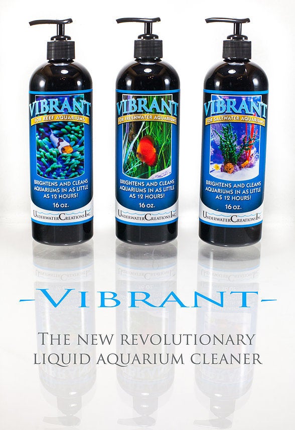 Underwater Creations Neptune Aquatics, Inc.