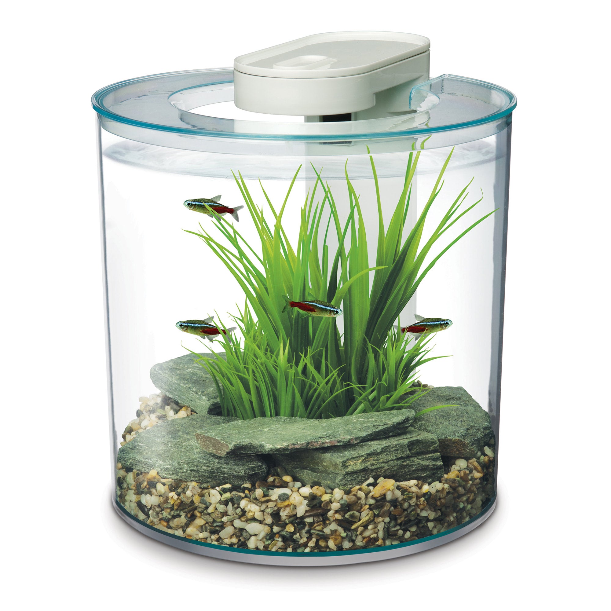 Marina betta tank best sale