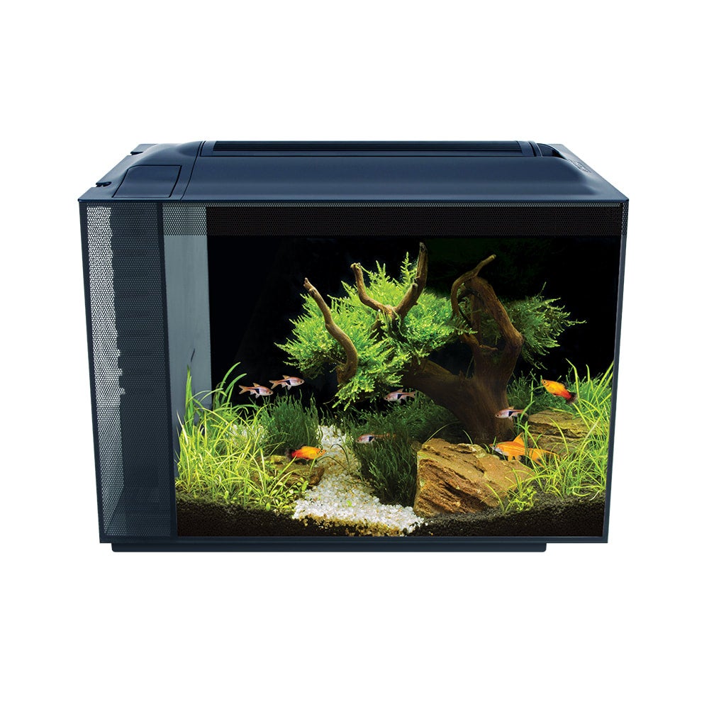 Fashion fluval aquarium